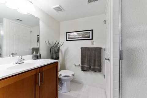 Deluxe Tahoe Bathroom